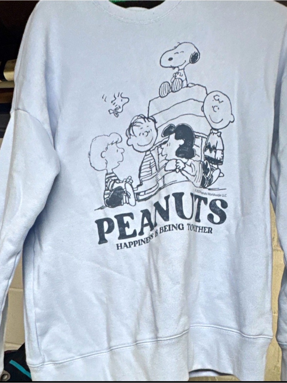 abercrombie kids Peanuts Snoopy Graphic Crewneck Pullover Sweatshirt Gray 15/16